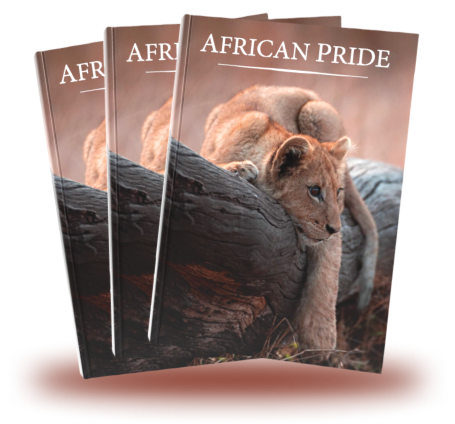 AP Brochure Colection with Shadow