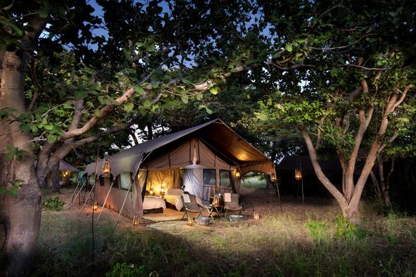 Beyond Chobe Under Canvas tent exterior