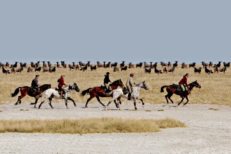 Camp Kalahari Horseback Safari