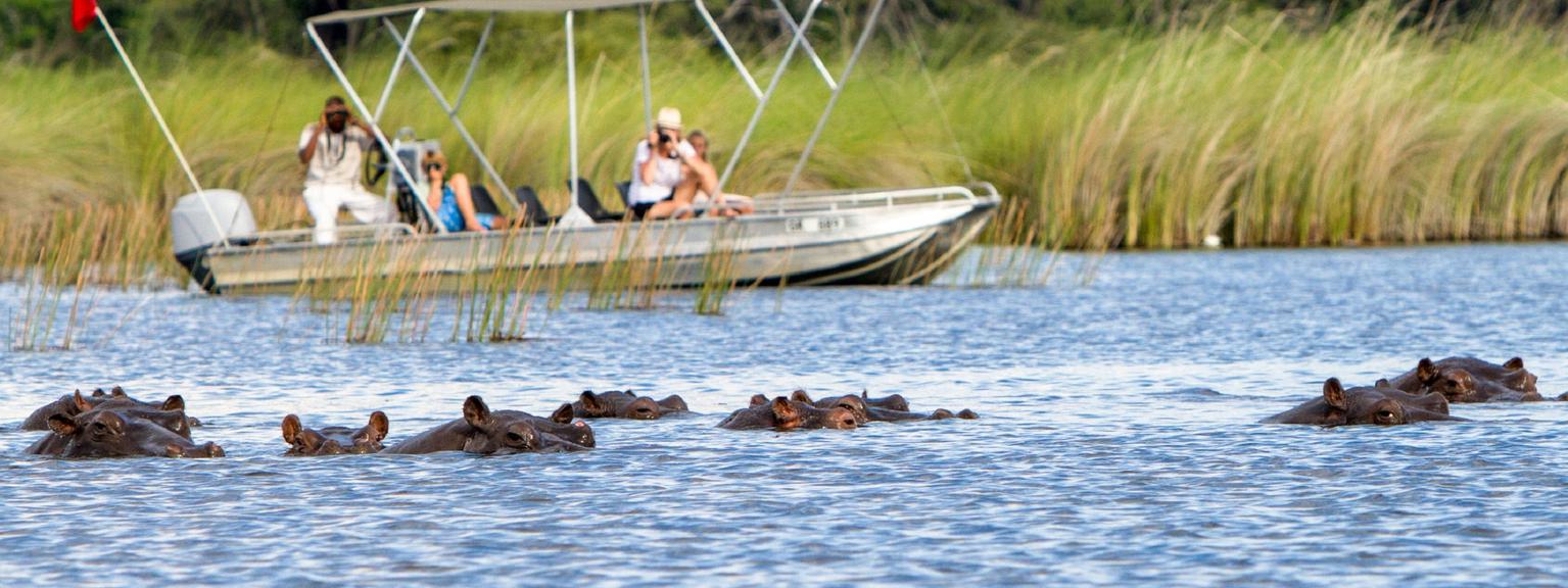 Camp Moremi Boat Safari