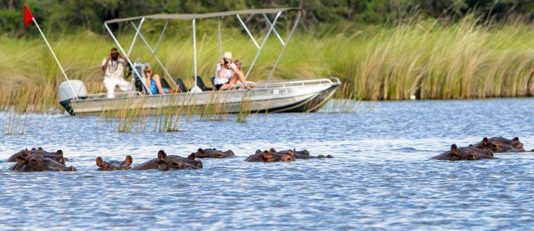 Camp Moremi Boat Safari