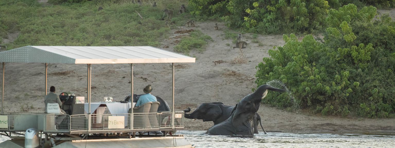 Chobe Game Lodge boating with elephant in water