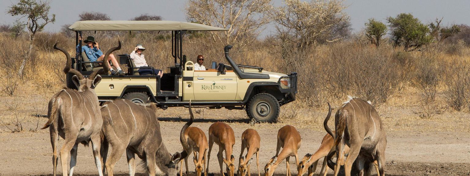 Dinaka Game Drive