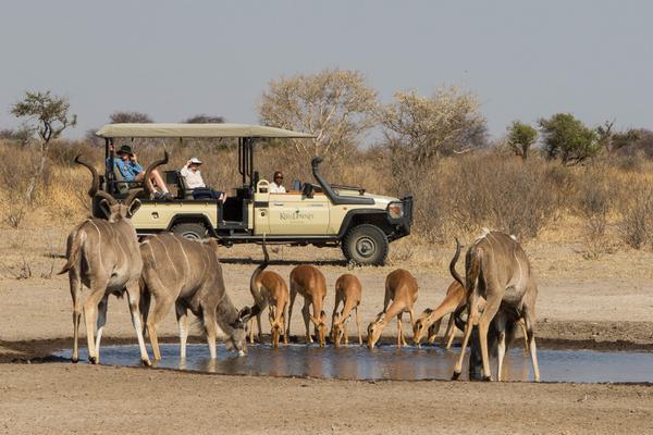 Dinaka Game Drive