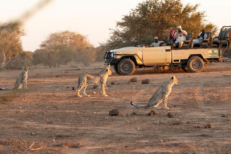 Mashatu Game Drive with cheetah