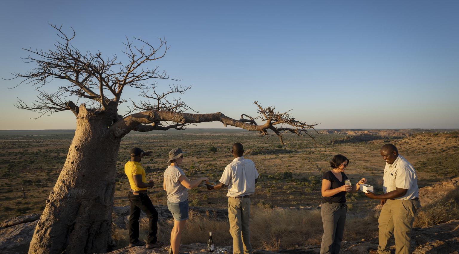 Walk Mashatu sundowners