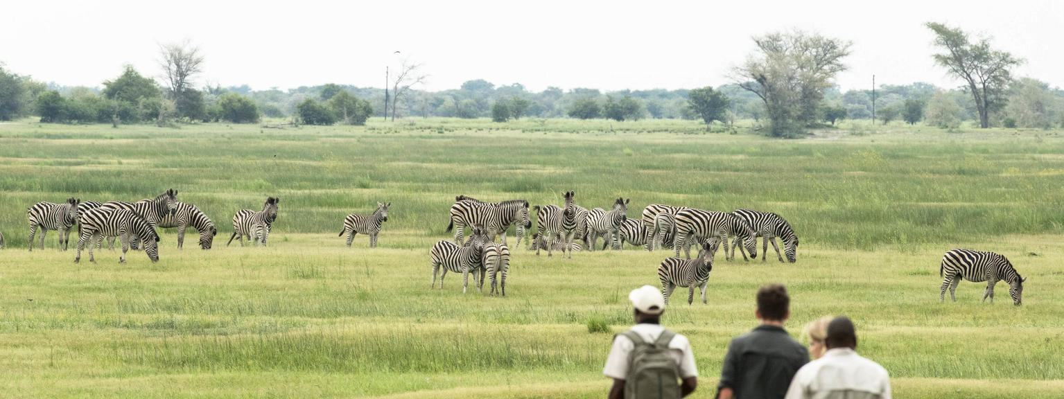Muchenje Safari Lodge Walking Safari