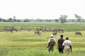 Muchenje Safari Lodge Walking Safari