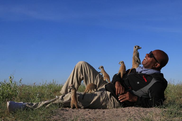 San Camp Meeting the Meerkats