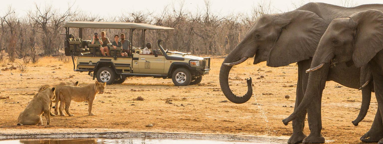 Savute Safari Lodge game drive elephant and lion at waterhole