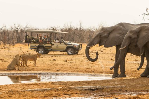 Savute Safari Lodge game drive elephant and lion at waterhole
