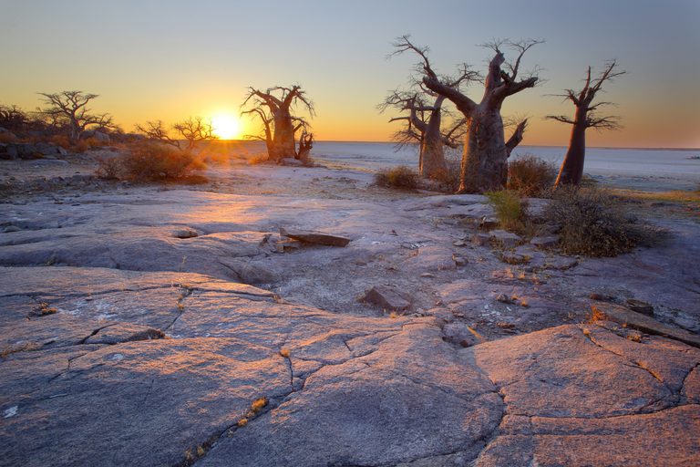 Makgadikgadi Pans baobabs sunset SS