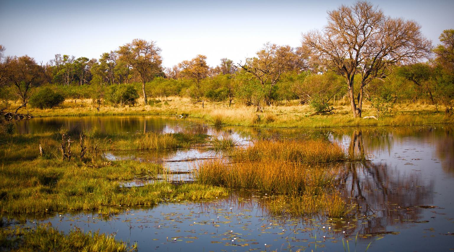 Okavango Delta landscape SS