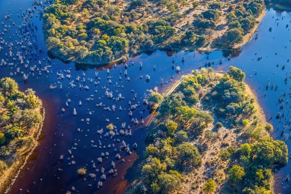 Okavango Delta overhead view SS