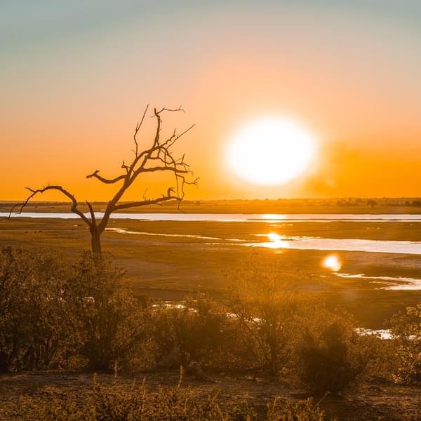 Chobe Sunset SQUARE