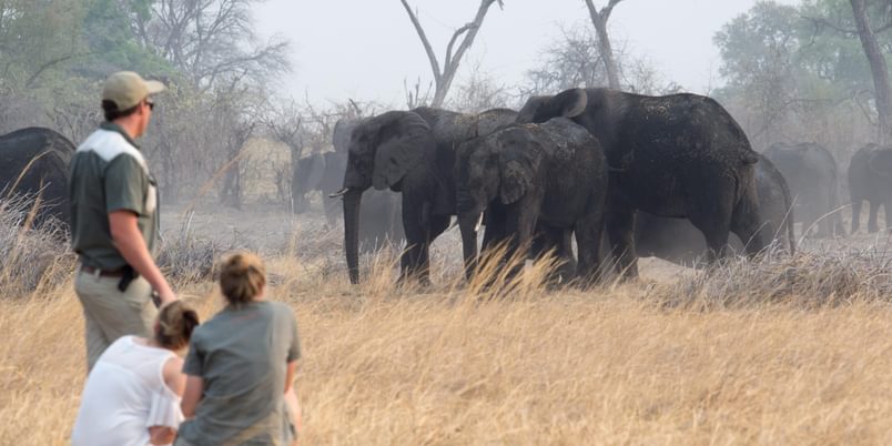 Nambwa Tented Lodge walking safari