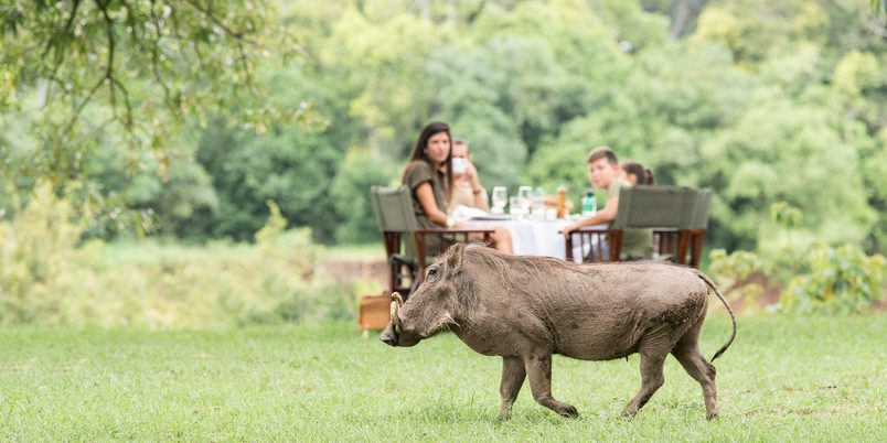Wildlife while Dining Governors Masai Mara
