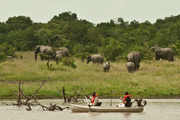 Kicheche Laikipia Canoe Safari with Elephants