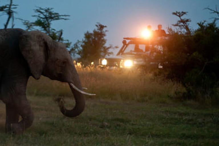 Kicheche Laikipia Night Drive
