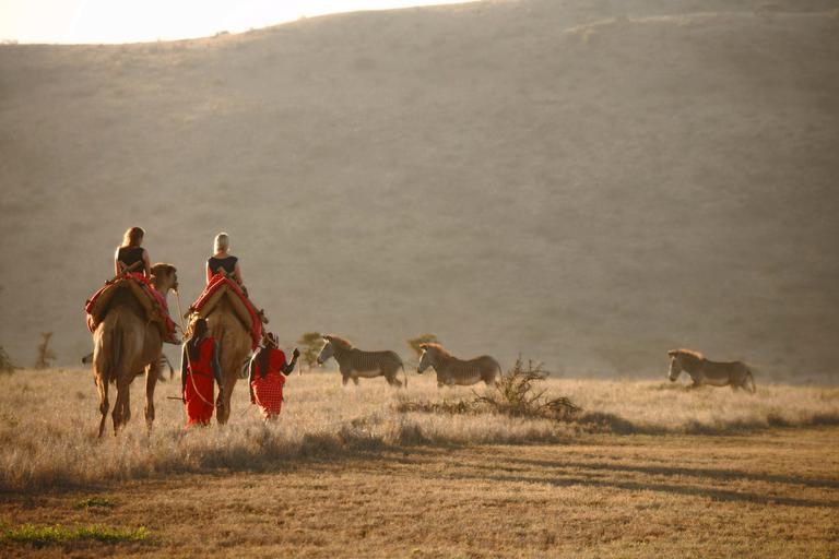 Camel Safari at Lewa Safari Camp with Zebras