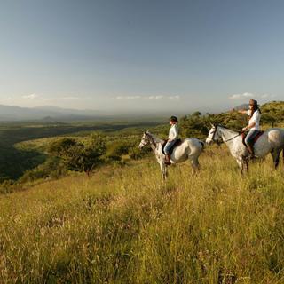 Horse Riding Lewa Wilderness