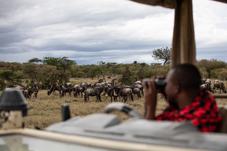 Mahali Mzuri Watching the Migration