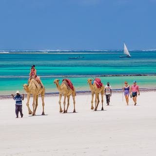 Camels on beach Nomad Beach resort