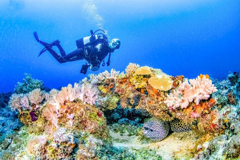 Nomad Beach Resort Snorkelling