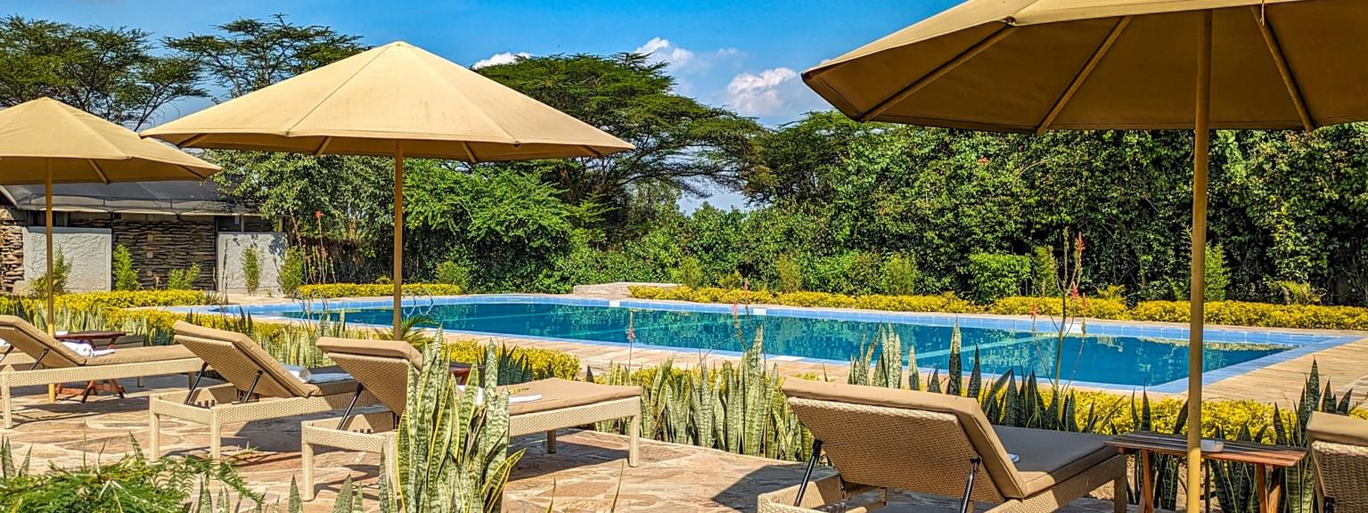 Zebra River Camp Pool