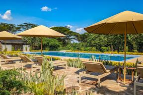 Zebra River Camp Pool