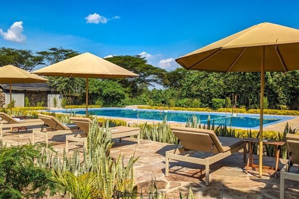 Zebra River Camp Pool