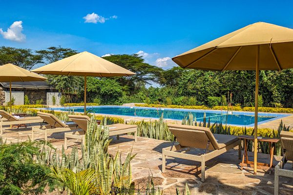 Zebra River Camp Pool