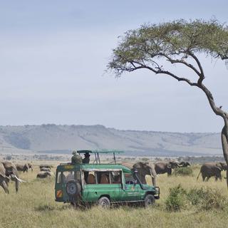 Game Drive Experience