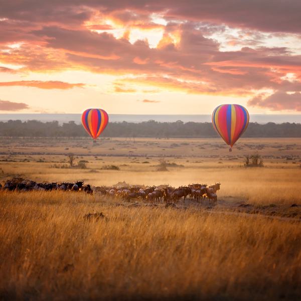 Masai Mara Hot Air Balloons and Wildebeest
