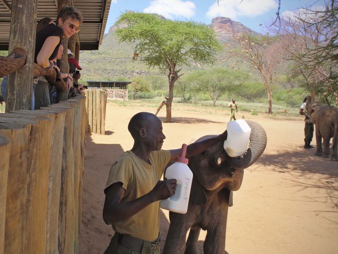 Sarara Reteti Elephant Sanctuary Calf having milk