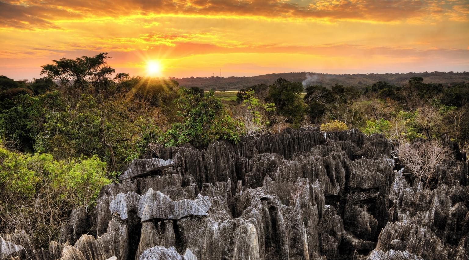 Tsingy de Bemaraha Strict Nature Reserve SS