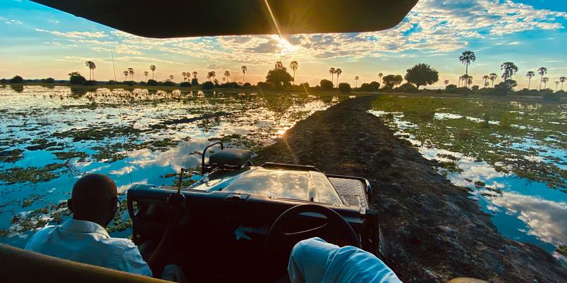 Liwonde game drive through river CA