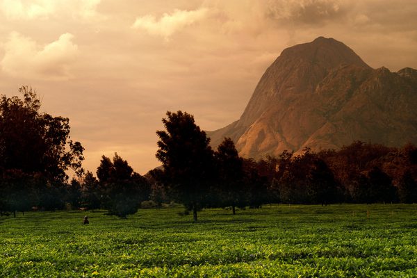 Mountain backdrop Malawi MTB