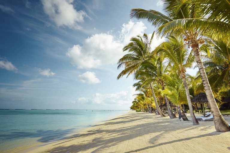Lux le Morne Beach with palm trees