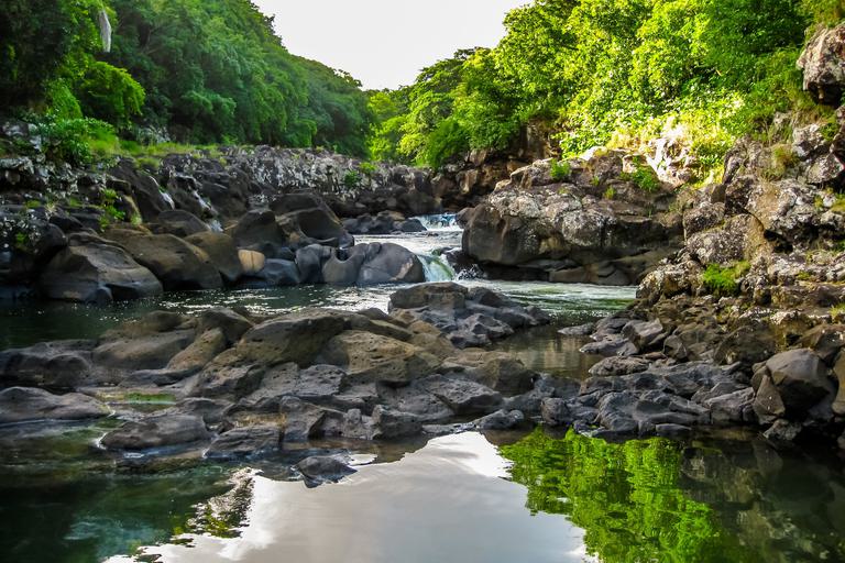 Mauritius Black River Gorges SS