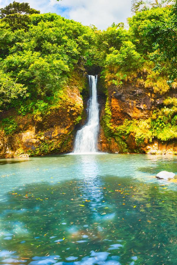 Mauritius Chamouze waterfall Portrait SS