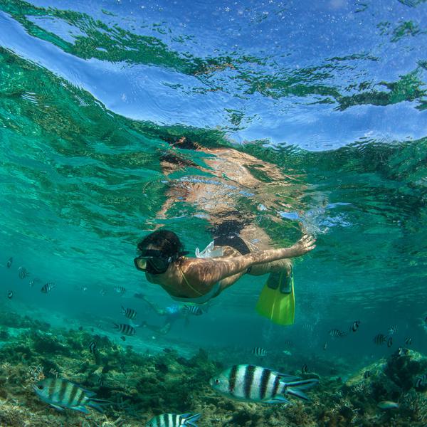 Mauritius Snorkelling SS portrait