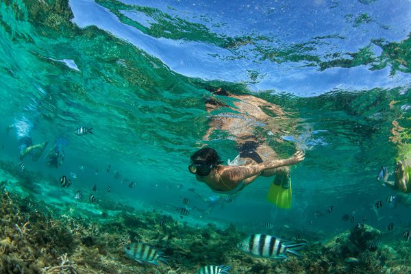 Snorkelling fish Mauritius