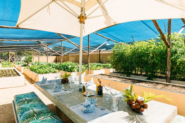 Santorini Vegetable garden lunch