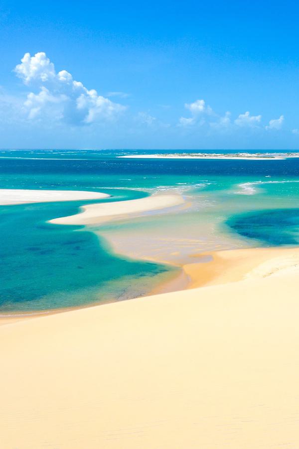 Mozambique Beach Sand Dunes SS PORTRAIT