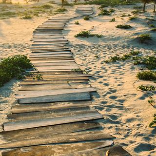 Mozambique beach boardwalk SS PORTRAIT