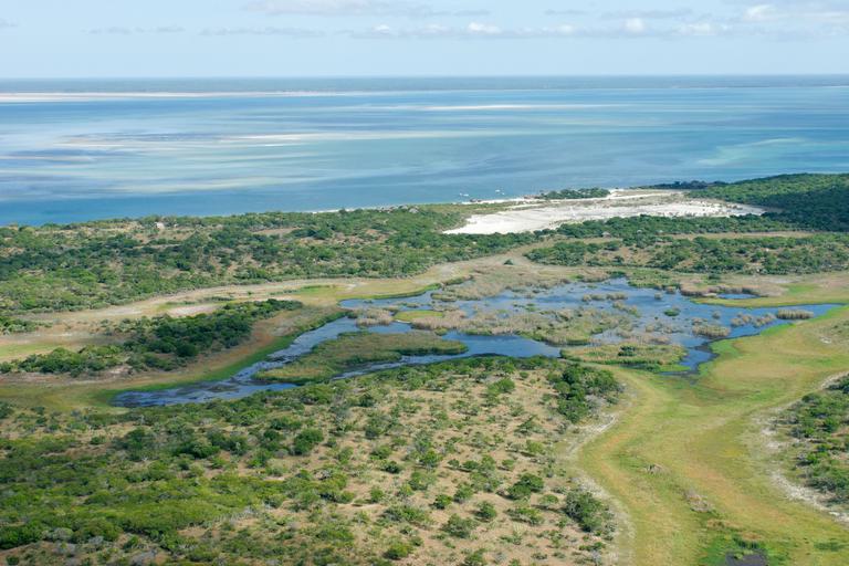 Mozambique coast bush meets beach SS