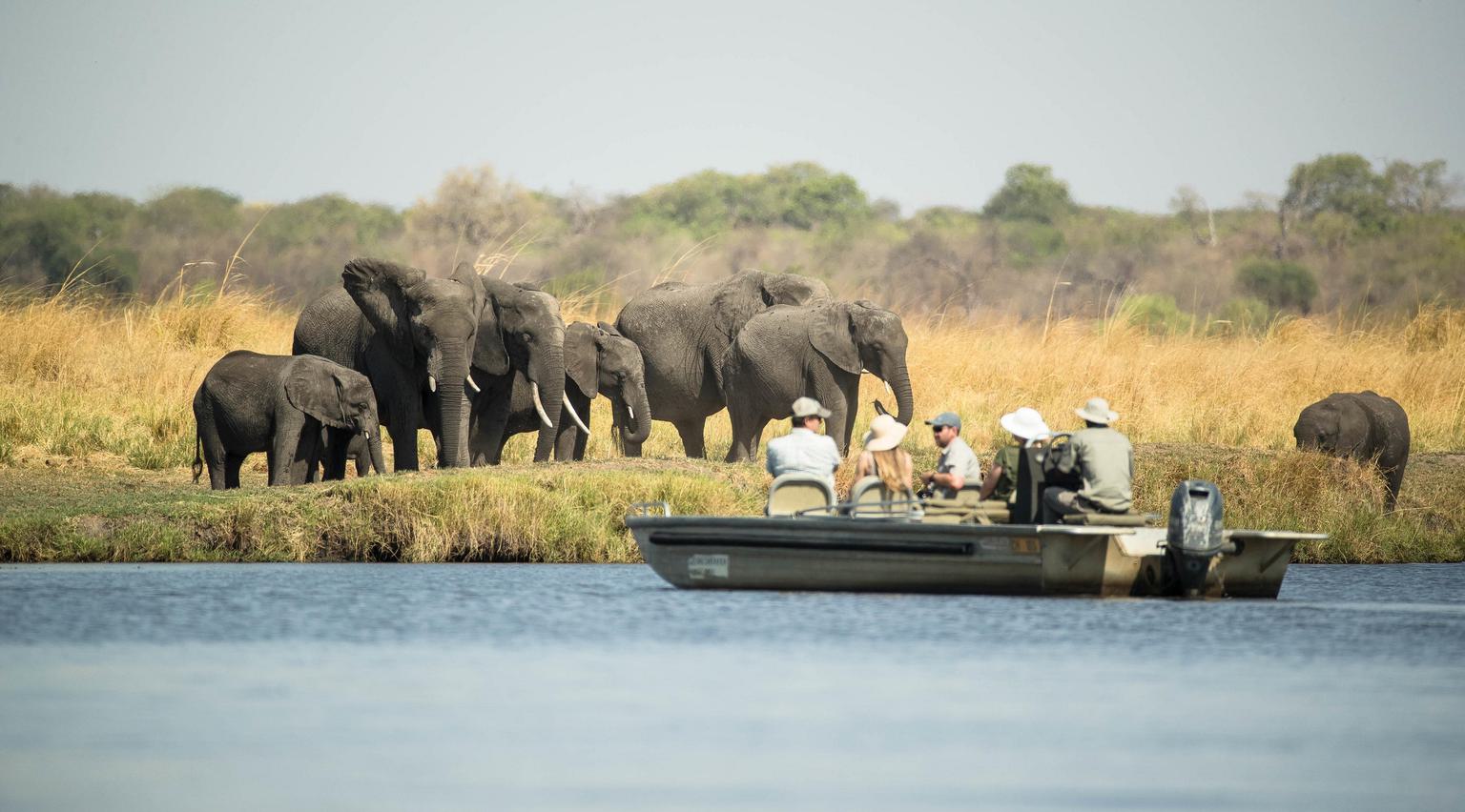 Chobe Savanna Lodge Small Boat Trip