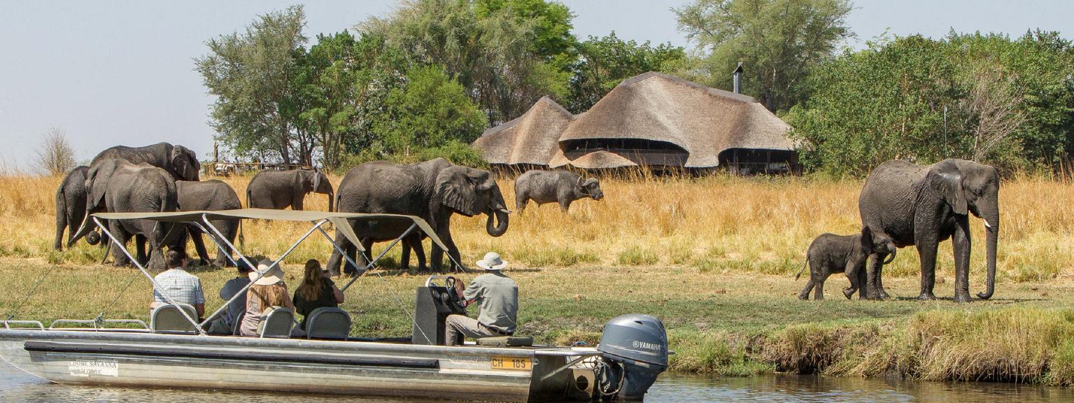 Chobe Savanna Lodge View