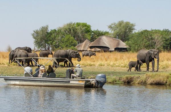 Chobe Savanna Lodge View